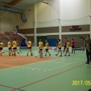 fin 8